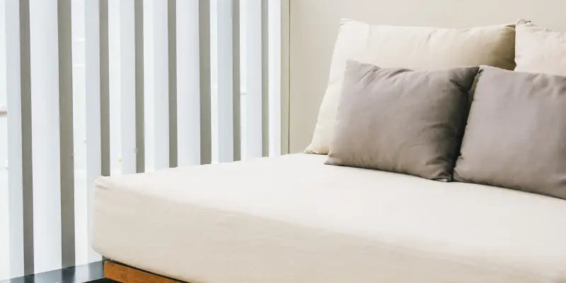 Cushions-you-didn-t-know-you-needed | ZIPCushions