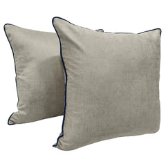 Modern Minimalist Velvet Pillow Covers (22×22,Set of 2)