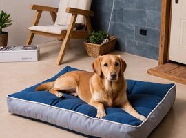 Custom Shape Pet Beds