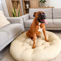 Custom Shape Pet Beds