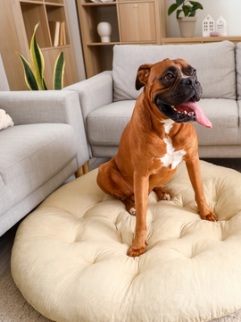 Custom Shape Pet Beds