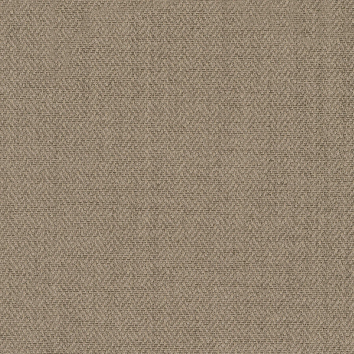 Beech Nocturnal Blackout Curtain - view 3