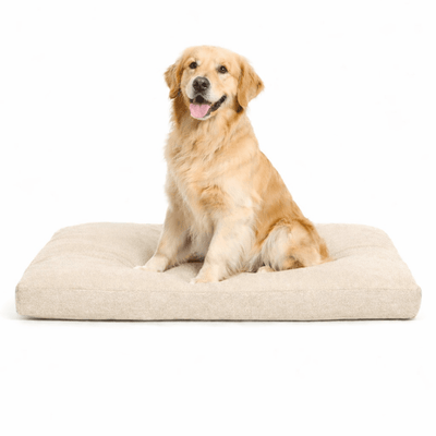 Custom Shape Pet Beds - alternate view