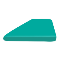 Left Window Cushions