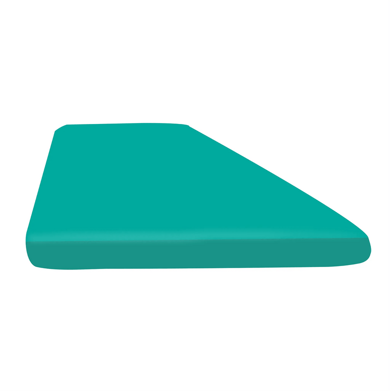 Right Window Cushions