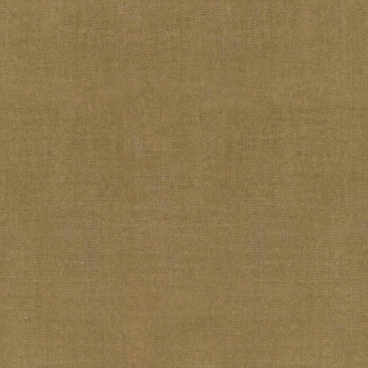 Sand Luxury Plush Drape - view 3