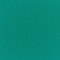 Sunbrella Canvas Teal Curtain