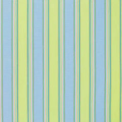 Sunbrella® 5602-0000 Bravada Limelite