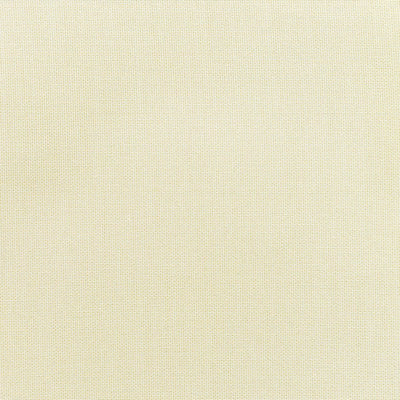 Sunbrella® Canvas Birds Eye 5472-0000