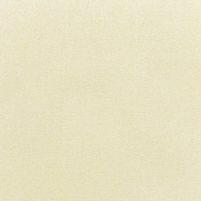 Sunbrella® Canvas Canvas 5453-0000