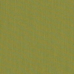 Sunbrella® Canvas Lichen SJA 3970 137
