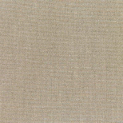 Sunbrella® Canvas Taupe 5461-0000