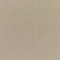 Sunbrella® Canvas Taupe 5461-0000