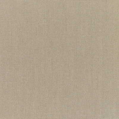 Sunbrella® Canvas Taupe 5461-0000