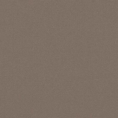 Sunbrella® Canvas Taupe SJA 3729 137