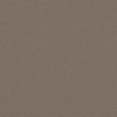 Sunbrella® Canvas Taupe SJA 3729 137