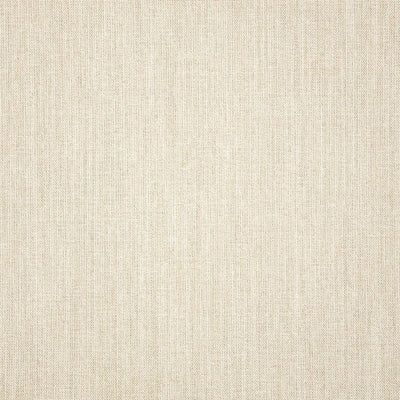 Sunbrella® Cast Pumice 48114-0000