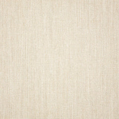 Sunbrella® Cast Pumice 48114-0000