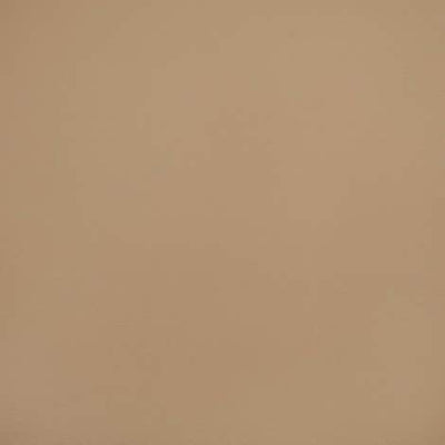 Sunbrella® Horizon Capriccio Dune 10200-0009 Fabric