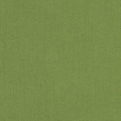Sunbrella® Spectrum Cilantro 48022-0000