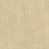 Sunbrella® Speclium Sand 48019-0000