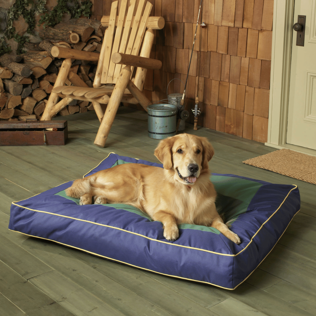 Custom Shape Pet Beds