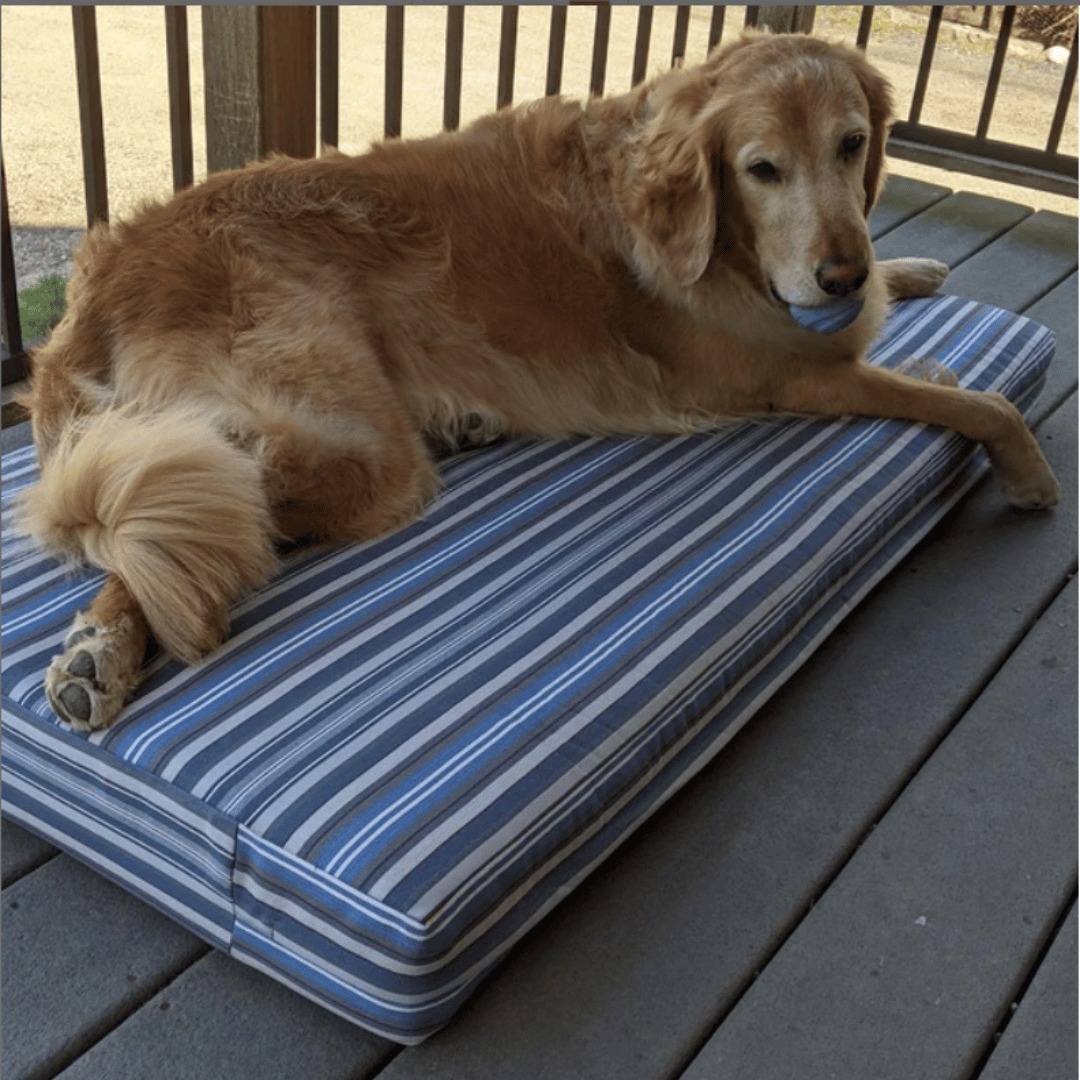 Custom Shape Pet Beds