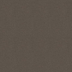 Sunbrella® Horizon Sorrento Taupe 10202-07 Fabric