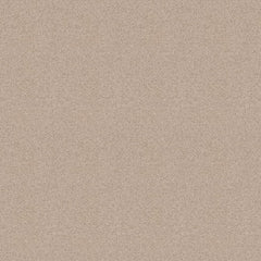 Sunbrella® Horizon Sorrento Flax 10202-05 Fabric