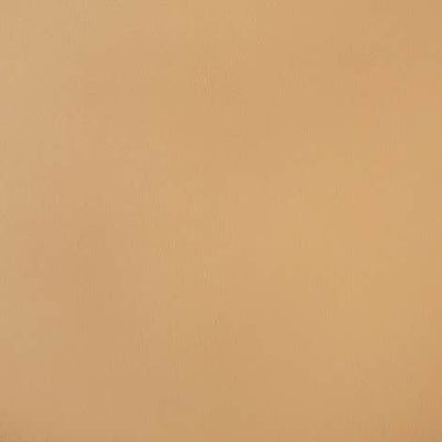 Sunbrella® Horizon Capriccio Toast 10200-0007 Fabric