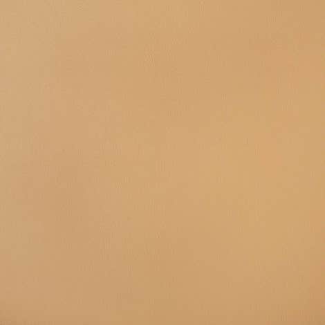 Sunbrella® Horizon Capriccio Toast 10200-0007 Fabric - Featured Image